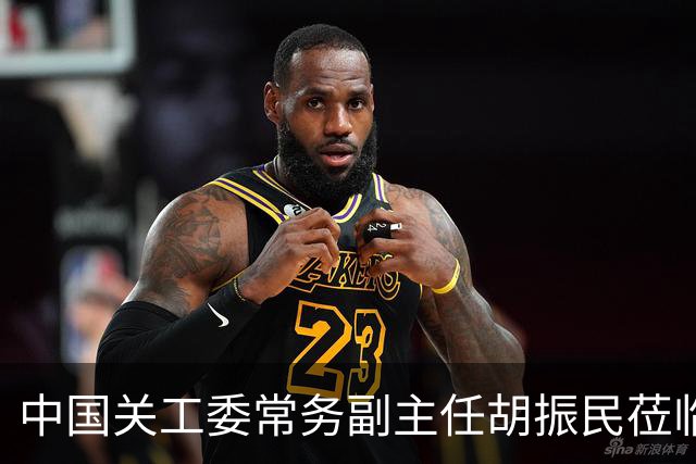中国关工委常务副主任胡振民莅临星磊科技集团考察调研