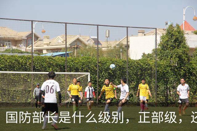 国防部长是什么级别，正部级，还是副国级？
