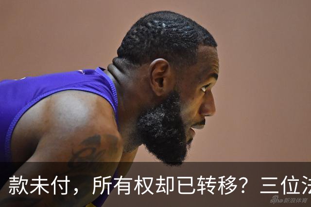 款未付，所有权却已转移？三位法学专家提出异议，陕西1200万元原煤追偿案申请再审