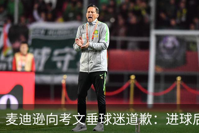 麦迪逊向考文垂球迷道歉：进球后亲吻热刺队徽时机不对