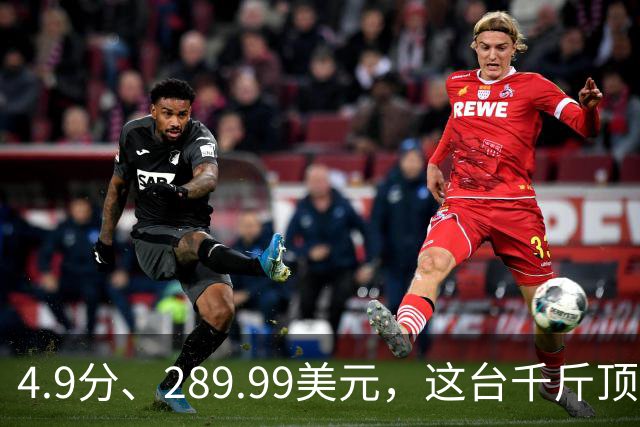 4.9分、289.99美元，这台千斤顶多了白色拉花