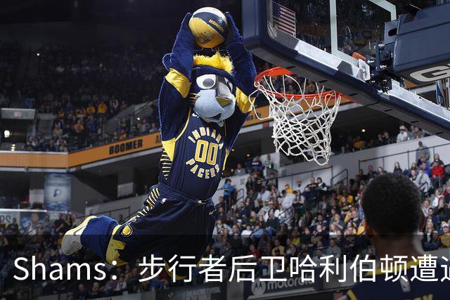 Shams：步行者后卫哈利伯顿遭遇左腿筋拉伤，将缺席一段时间